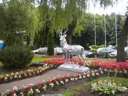 Pomnik Jelenia w Mielnie